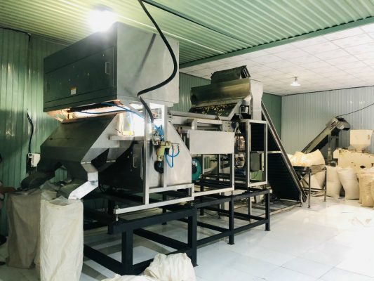 Colour and size sorting machine